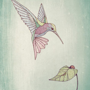 Leoncio el colibrí